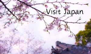 Visit Japan